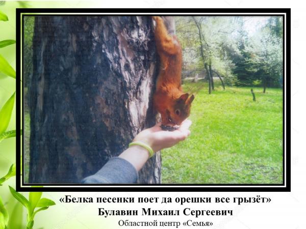 Природа глазами детей (5) Природа глазами детей (5)