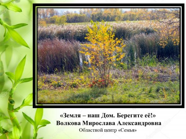Природа глазами детей (16)