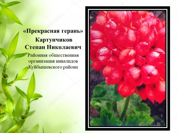 Природа глазами детей (20) Природа глазами детей (20)