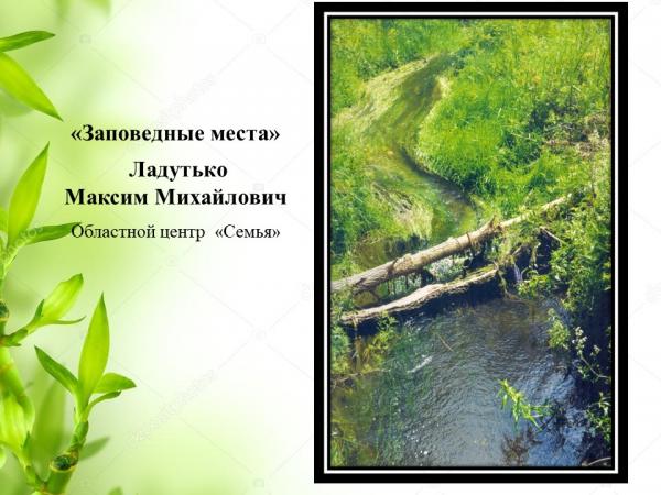 Природа глазами детей (14)