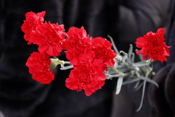 Митинг и церемония возложения цветов (3)