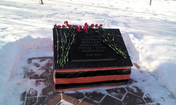 Торжественный митинг (8)