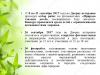 Природа глазами детей (2) Природа глазами детей (2)